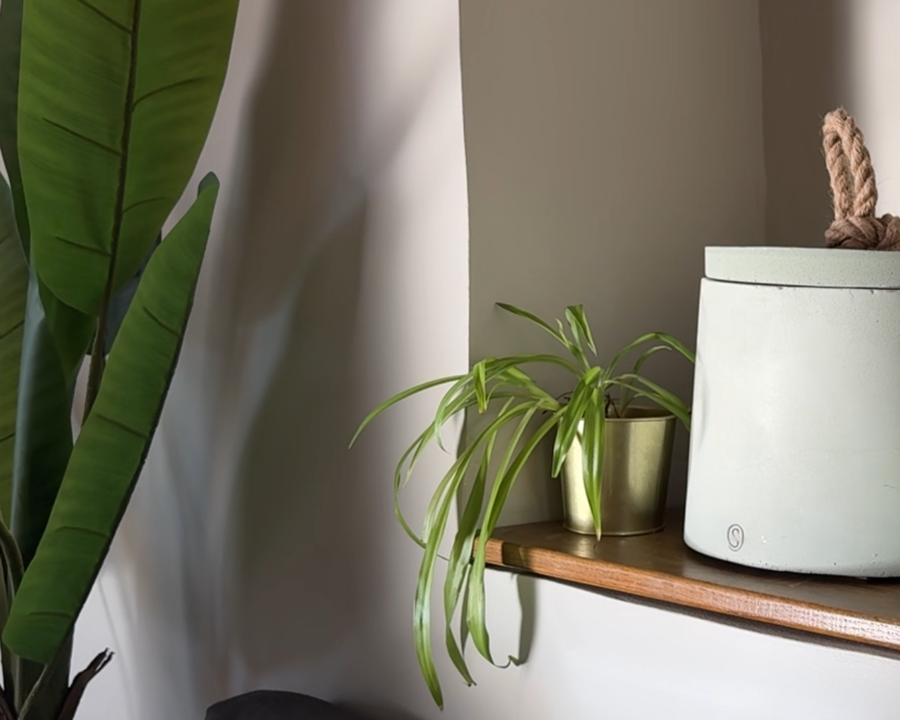 Green Indoor Candle - Size L